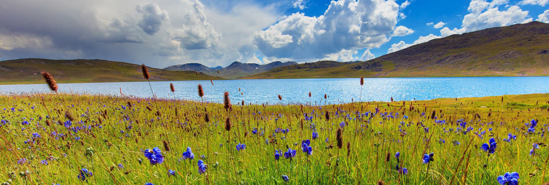 By season pearl tours travel