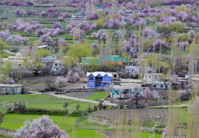 Proposed day plan to Chunda Valley