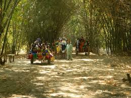 Day Excursion Plan: Rana Resort from Lahore