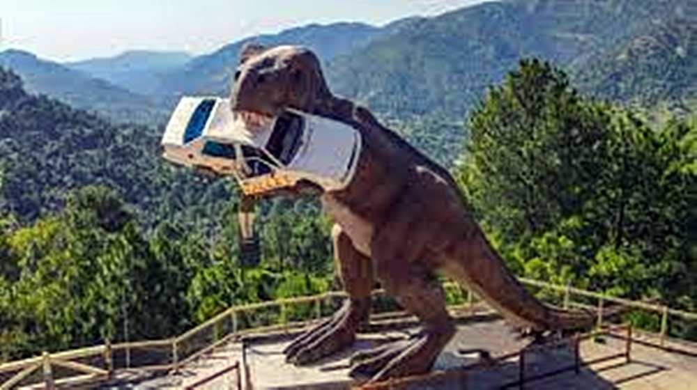Day Excursion to Dino Valley from Islamabad/Rawalpindi