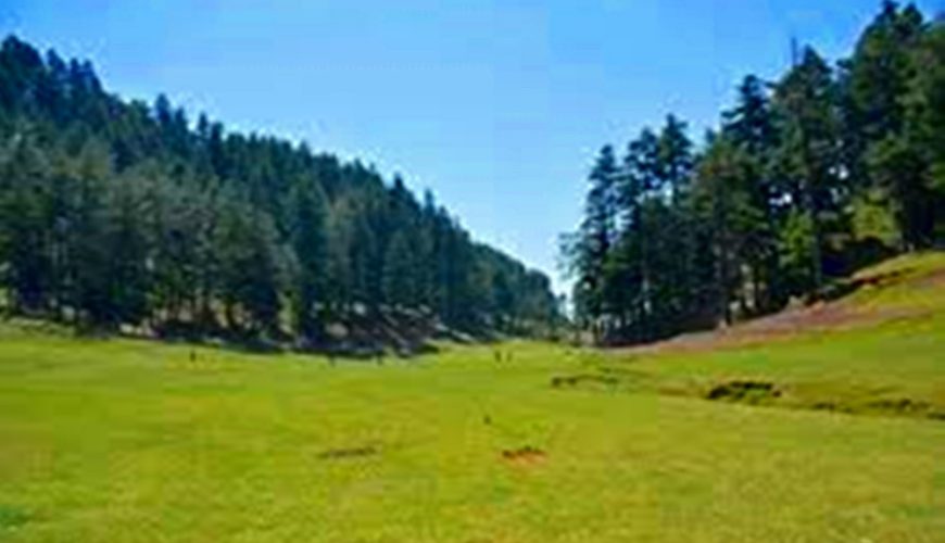 Day excursion to Srikot