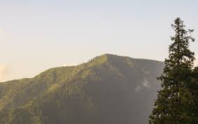 Day Plan from Murree/Bhurban