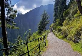 Day Plan from Murree/Bhurban